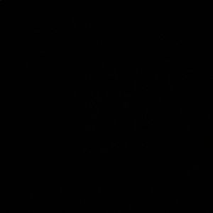 Meet your Posher, Lee